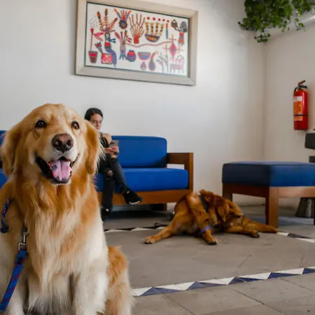 Puerto De Luna Pet Friendly And Family Suites-2